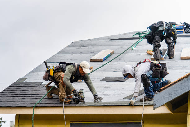 Professional Roof Repair technician working in Central City, IA